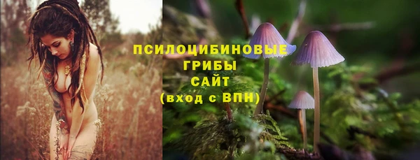 спиды Беломорск