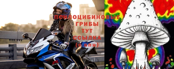 спиды Беломорск