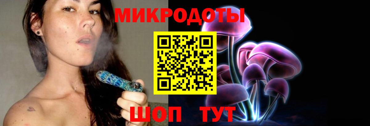 Галлюциногенные грибы Psilocybe Великий Устюг
